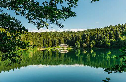 Artvin’de Bir Gün