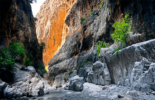 Keşfe Devam