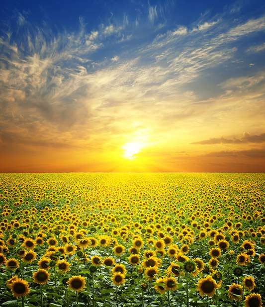 Çorlu Gezilecek Yerler