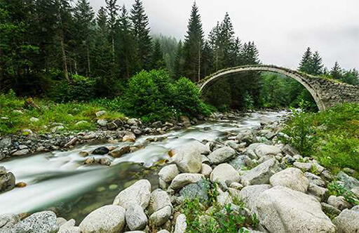 Rize’de Bir Gün