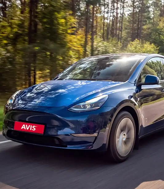 Tesla Model Y: Sürdürülebilirlik ve Teknoloji