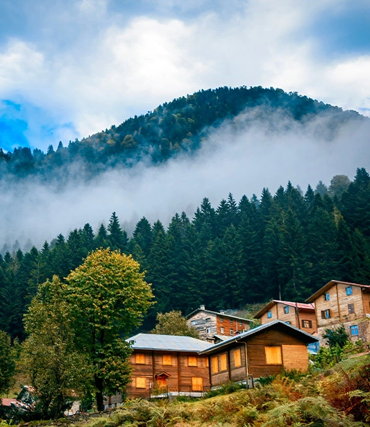 Yeşilin Binbir Tonu: Mutlaka Görmeniz Gereken Yaylalar
