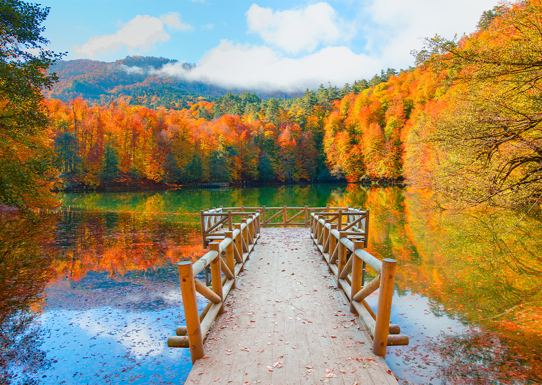 abant-ve-yedigollerde-sonbahar-rotalari