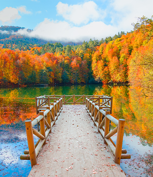 Abant ve Yedigöller’de Sonbahar Rotaları