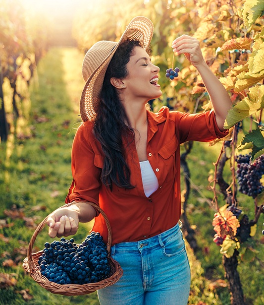 Unutulmaz Bağ Bozumu Rotalarına Sizi AVIS Götürsün