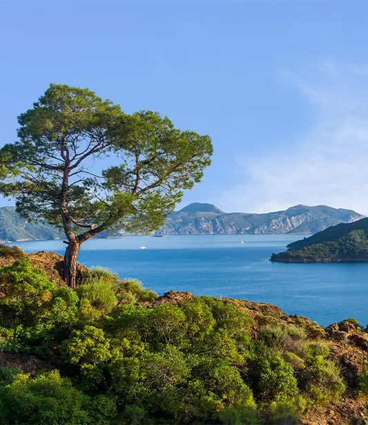 Gizli Kalmış Yaz Rotalarını Avis ile Keşfedin!